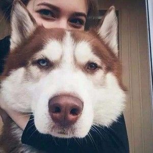 Meet your Posher, Thuguichochi